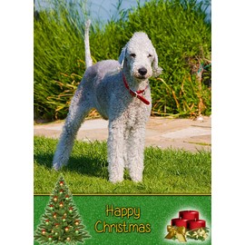 Bedlington Terrier Dog Christmas Card 'Happy Christmas' - Special Animal Xmas Card for Him Her from Pets Kids