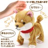 マザーガーデン 一緒にお散歩シリーズ わんちゃん 〔歩く ぬいぐるみ 犬 電子ペット〕柴犬くん 506-58281