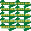 10Pcs Senior 2026 Sashes Green Satin with Gold Glitter Letters