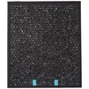 Bissell Replacement Carbon Filter for The Air400, 2520