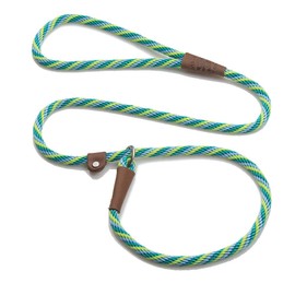 Mendota Pet Slip Leash - Dog Lead and Collar Combo - Made in The USA - Seafoam, 3/8 in x 6 ft - for Small/Medium Breeds