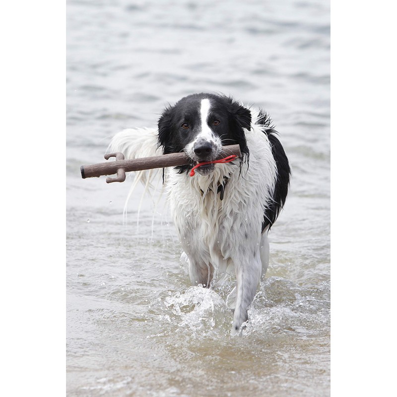 DOOG The Sticks, Barkley