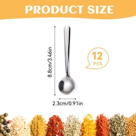 YYOUALS 12Pcs Tiny Spoons for Spices, Mini Coffee Spoon, Small Stainless Steel Salt Spoon with Acrylic Box, Condiment Spoons for Spices, Sugar, Coffee, Powder, Dessert, Caviar