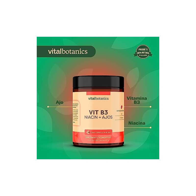 Vitamina B3 Niacina y Ajo. Con 120 capsulas de 500mg