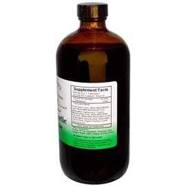 Christopher'S Original Formulas Dr. Christopher's Super Garlic Immune Syrup 16 oz