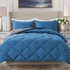 Decroom Lightweight Queen Comforter Set with 2 Pillow Sham -