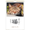Active Corporation 2026 Calendar Wall-mounted Sunbathing Cat Chronicles 26ACL-04 2026