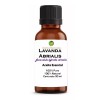 Econoclear Aceite Esencial Lavanda Abrialis 100% Puro Y Natural 30 Ml