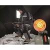 Mr. Heater New Mr Heater 15,000 BTU Sunrite Propane Single