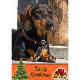 Dachshund Dog Christmas Card 'Merry Christmas' - Special Animal Xmas Card for Him Her from Pets Kids