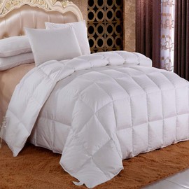 Royal Hotel Dobby Down Comforter 650-FILL-POWER Down-Fill, 100% Cotton 300-Thread-Count, Full Size, Down White