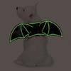 Zack & Zoey Glow-in-The-Dark Bat Wings Harness for Dogs, X-Large