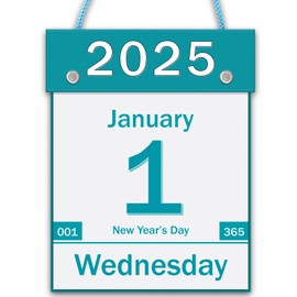 2025 Daily Wall Calendar, Page a Day Wall Calendars with Large Clear Dates, Large Print Wall Calendar for Home Office School Dorms, 8.5" x 6", Tear Away Calendar with Hanging String, Cyan