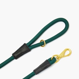 5ft Long Heavy Duty Rope Dog Lead – Strong Braided Leash for Large Dogs, Soft & Durable with Gold Metal Clip & Leather-Trimmed Handle (Green)
