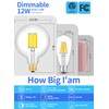 CRLight 12W Dimmable LED Large Globe Bulb 5000K Daylight White