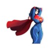 Superhero Sticker Protector Superhuman Champion Vigilante Protector Anime Cartoon Lewd