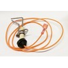 Rheem/Ruud/Protech 62-24164-03 Direct Spark Ignitor (DSI)