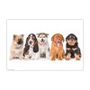 Wipe Clean Desk Mat for Children and Adults - 5