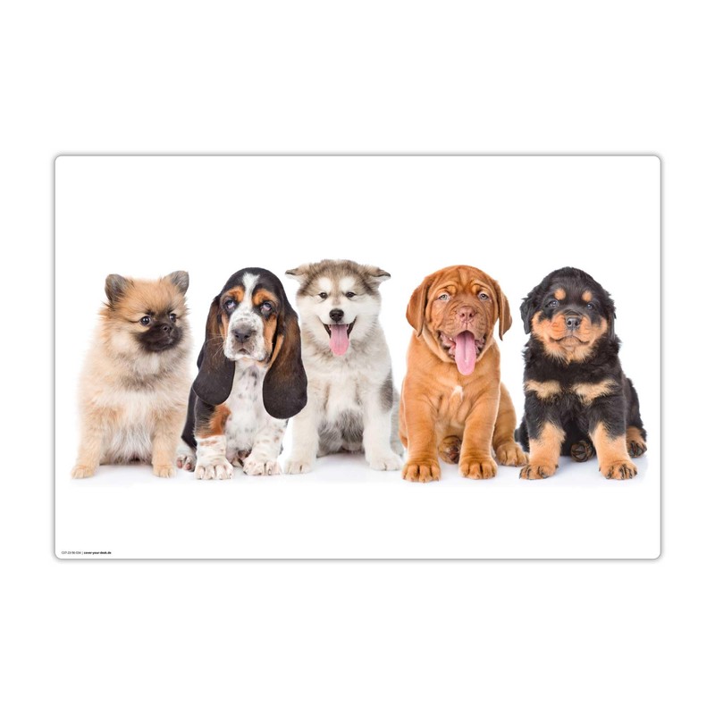 Wipe Clean Desk Mat for Children and Adults - 5