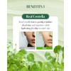 dr.pepti Centella Turnover Soft Peeling Gel - Exfoliante Facial Coreano