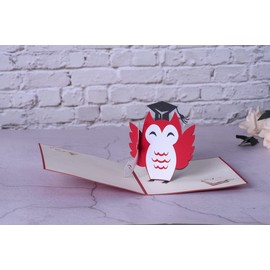 MKISHINE 3D Graduation Greeting Cards Owl with Hat Graduation for Men or Women Graduation Card for English Lawyer Medical Architect C16
