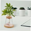 Abaodam 2Pcs Hydroponic Glass Plant Propagation Jars with Stand Lid