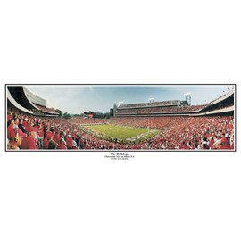 Everlasting Images Sanford Stadium Panoramic Print Georgia Bulldogs The Bulldogs Unframed