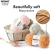 Bernat Forever Fleece - 2 pack of 194 Yards/9.9 oz