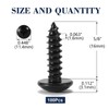 #10 x 5/8" Wood Screw 100Pcs Truss Head Phillips 18-8