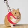 Yardwe 2 Sets Vibrant Hamster Harness & Lead for Small