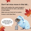 MaPorch Steel Wool Mouse Hole Filler - 3-Pack, 2.5 in