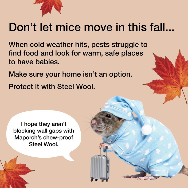 MaPorch Steel Wool Mouse Hole Filler - 3-Pack, 2.5 in