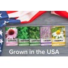 Herb Growing Kit Indoor for Hydroponics and Aquaponics- Includes Medicinal