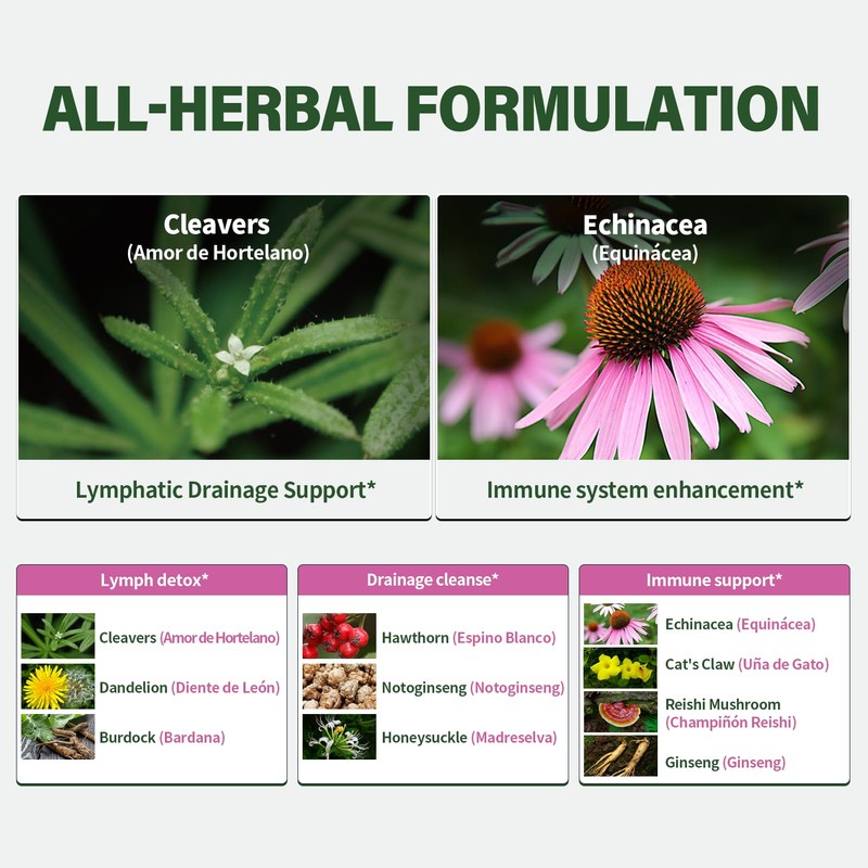 Nabouherb Cleavers Lymphatic Drainage Drops, Herbal Lymph Detox & Immune