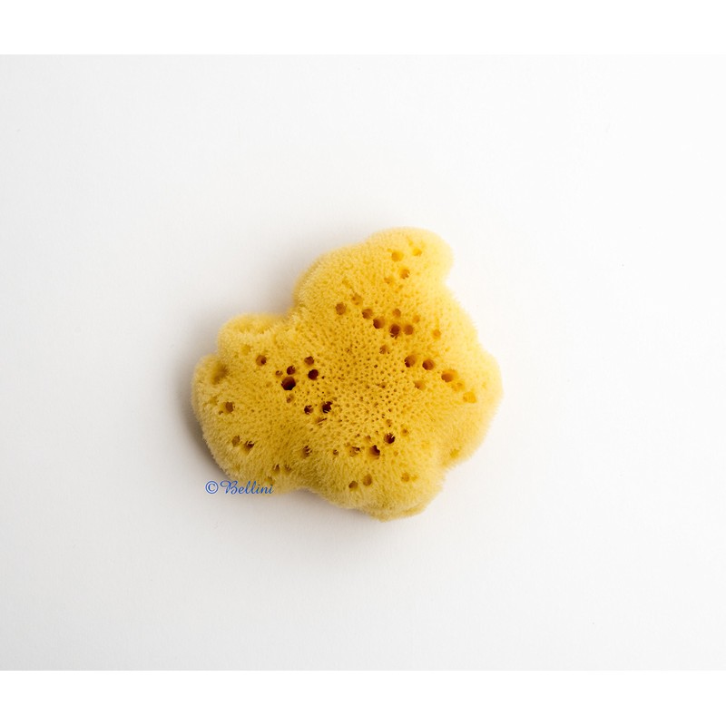 Bellini Mediterranean Natural Sponge Silk Fine No. 7