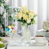 Mumufy 24 Pcs Plastic Bud Vases Bulk Small Clear Vases