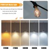 winsaLED 12 Pack 2W LED Edison Bulbs, 25 Watt Light