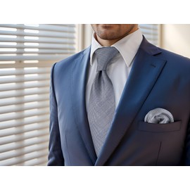 Shlax&Wing Solid Color Grey Mens Neckties Ties Business Suit 57.5" Classic