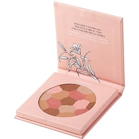 ASTRA Pure Beauty Mosaic Face Powder 01 Mother Earth