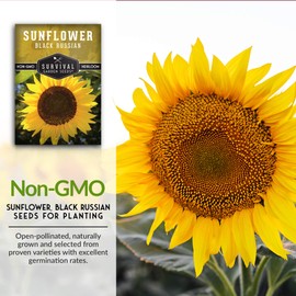 2 Packs Black Russian Sunflower Seed for Planting - Packet with Instructions to Grow Flowers for Oil or Bird Feed in Your Home Vegetable Garden - Non-GMO Heirloom Variety - Survival Garden Seeds