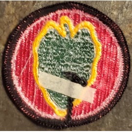 US ARMY 24th INFANTRY DIVISION COLOR PATCH UNIFORM MILITARY ORIG USGI NOS VTG