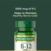Nature’s Bounty Vitamin B12 2500 mcg, Cellular Energy Support, for