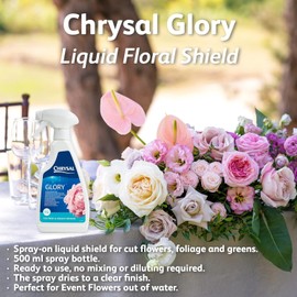 Chrysal Glory Flower and Foliage Finish — Floral Supplies for Fresh Flowers — Spray for Fresh Cut Flower Arrangements — Cut Flower Preservative Spray — Ideal Florist Supplies (3 Pack)