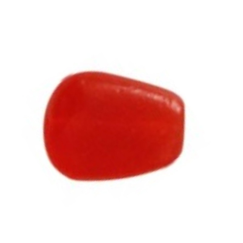 PRO FILSTAR Artificial Bait Set Corn 20 Red Pieces -