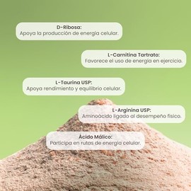 Matter Mito Fuel, Suplemento Pre Entreno Gym con D-Ribosa, L-Carnitina Tartrato, L-Arginina y L-Taurina USP, Apoya la Energía Celular y el Desempeño F