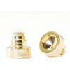 Wheel Rim Lip Rivets Nuts Rivets (Gold)