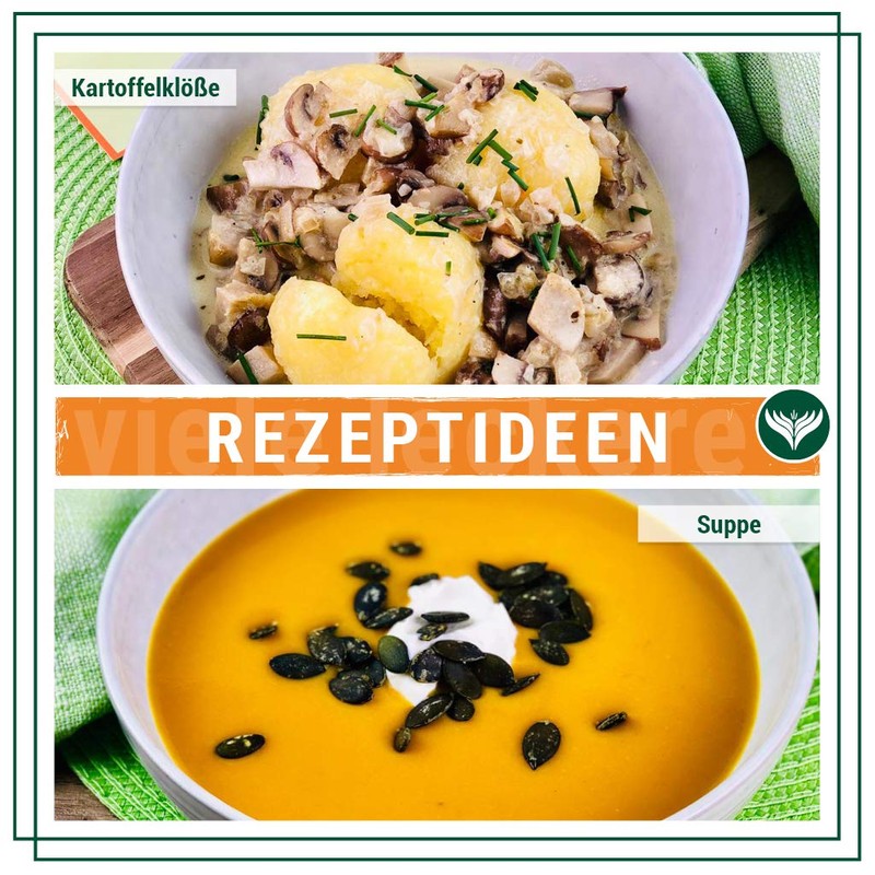 Azafran Nutmeg Nutmeg 80/85 Premium Quality Pack of 10