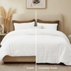 Quataly White Queen Comforter Set (3-Piece) – Cloud-Like Fleece Comforter