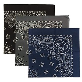 USA Made Military Army Trainmen Paisley 22 / Hav A Hank Paisley Bandana Made in USA (Set of 3) (A BK-CH-NV)