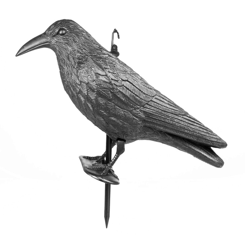 mgc24® Pigeon Scarer, Raven / Crow Decoy - Repels Pigeons,